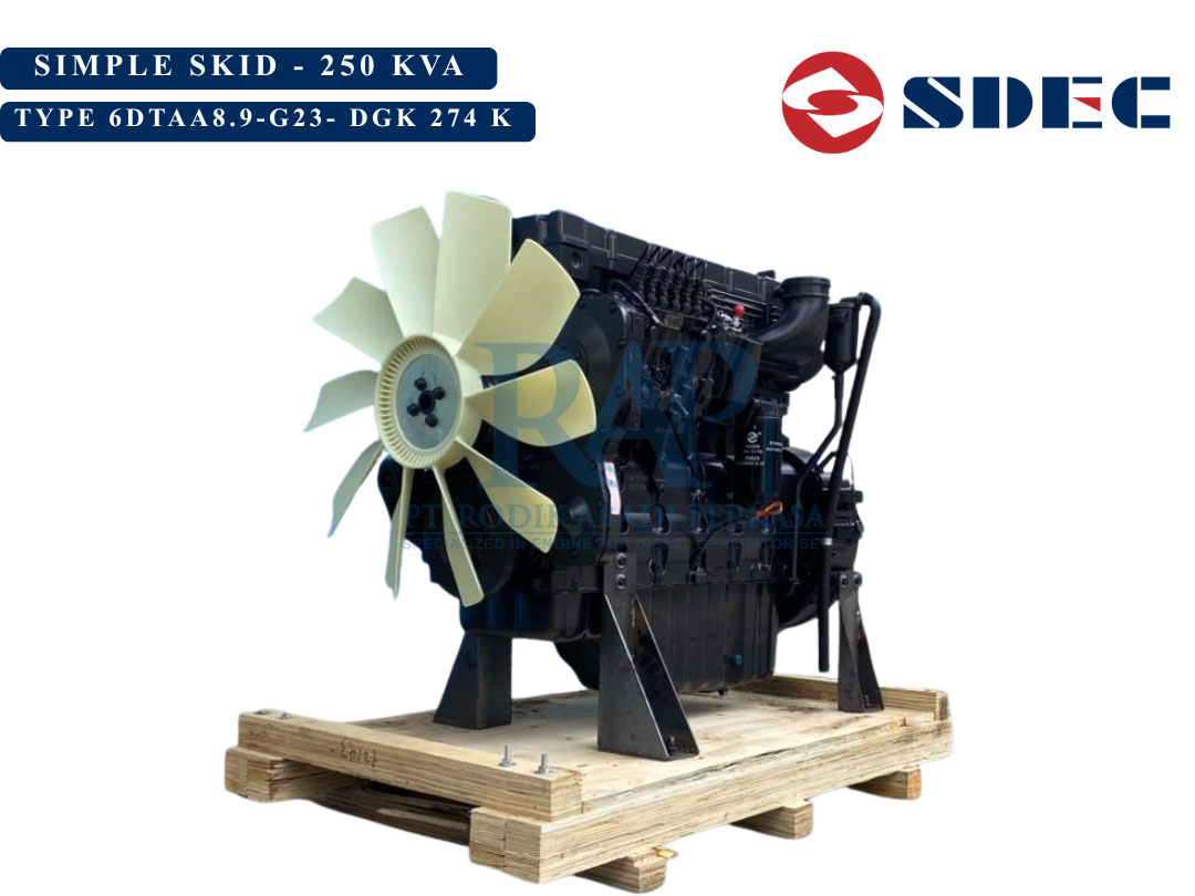 SDEC 250kVA - Simple Skid